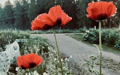 Miten kertoa muille omasta kuulosta?